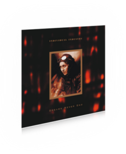 Individual Industry – Dreams Never End (Vö. 03.01.2011)